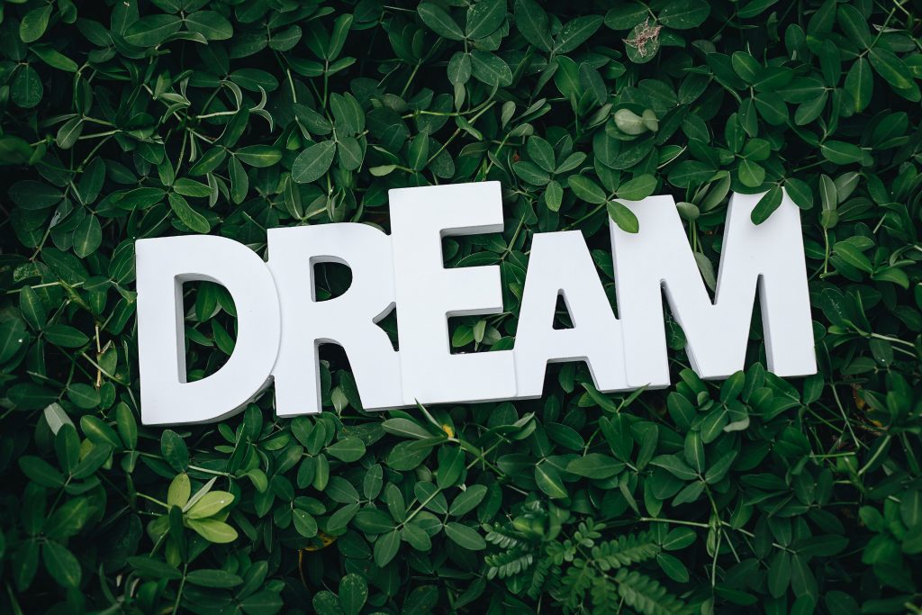 Why dreams are important