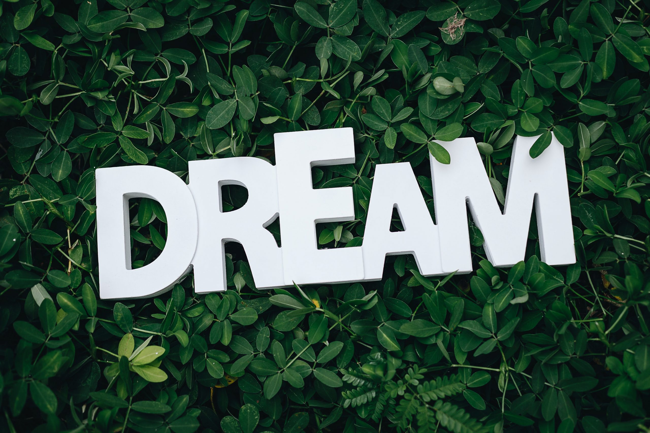 How to convert your dreams into reality