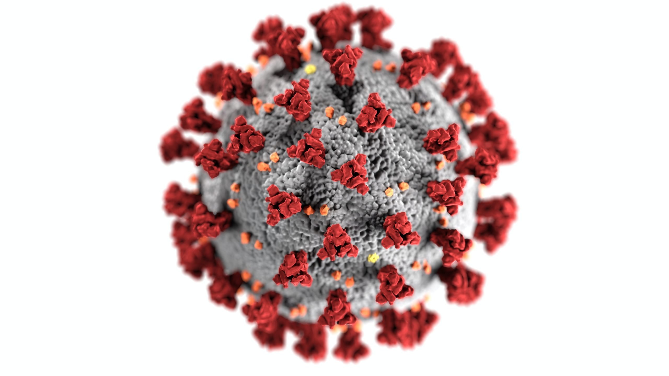 Coronavirus Immunity Booster
